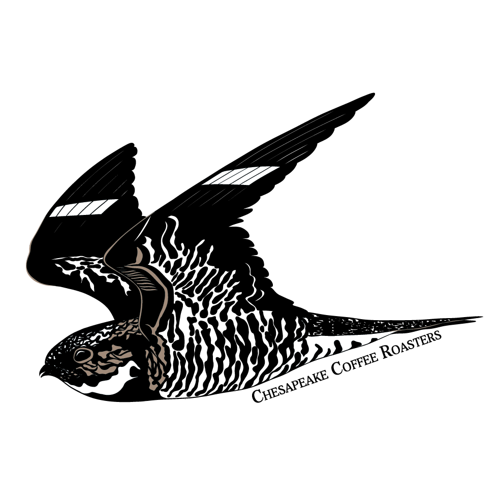 CCR Bird Friendly Nighthawk Sticker