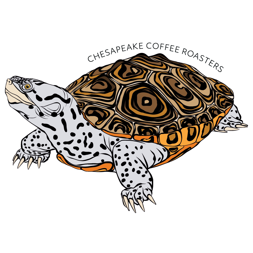 CCR Diamondback Sticker