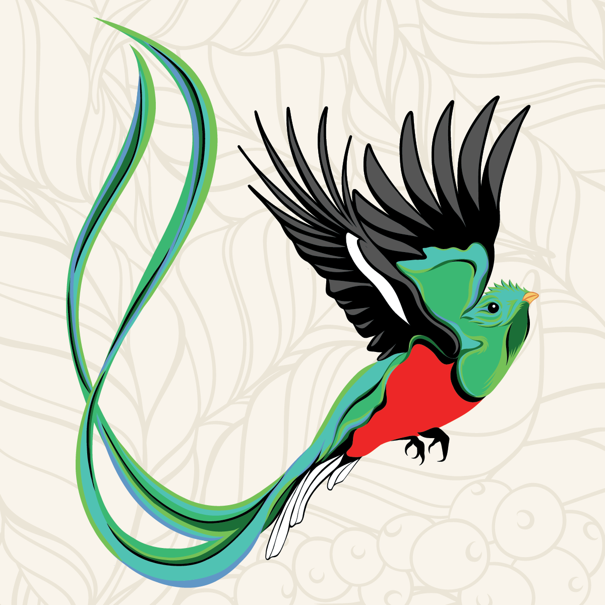 Bird Friendly Costa Rica