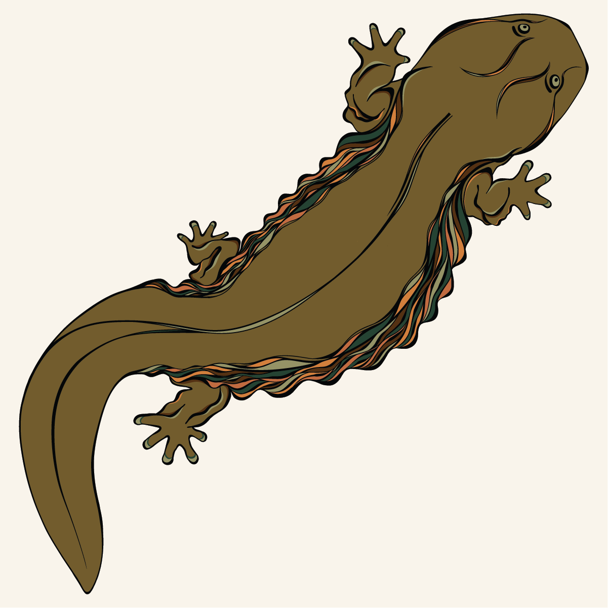 Illustration of a Hellbender salamander