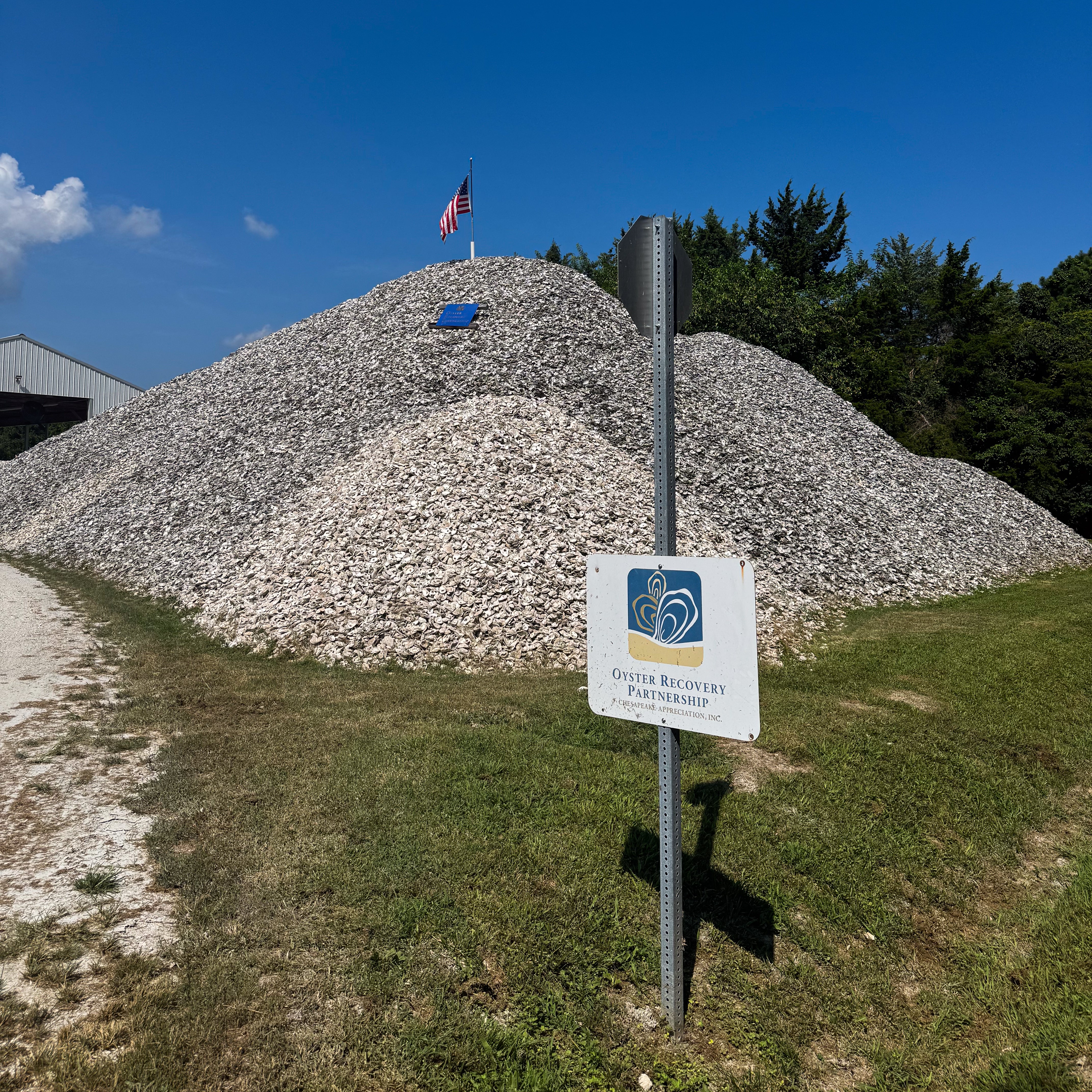 Large pile of oyster shells with a sign and American flag against a blue sky