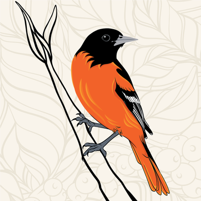 Bird Friendly Guatemala