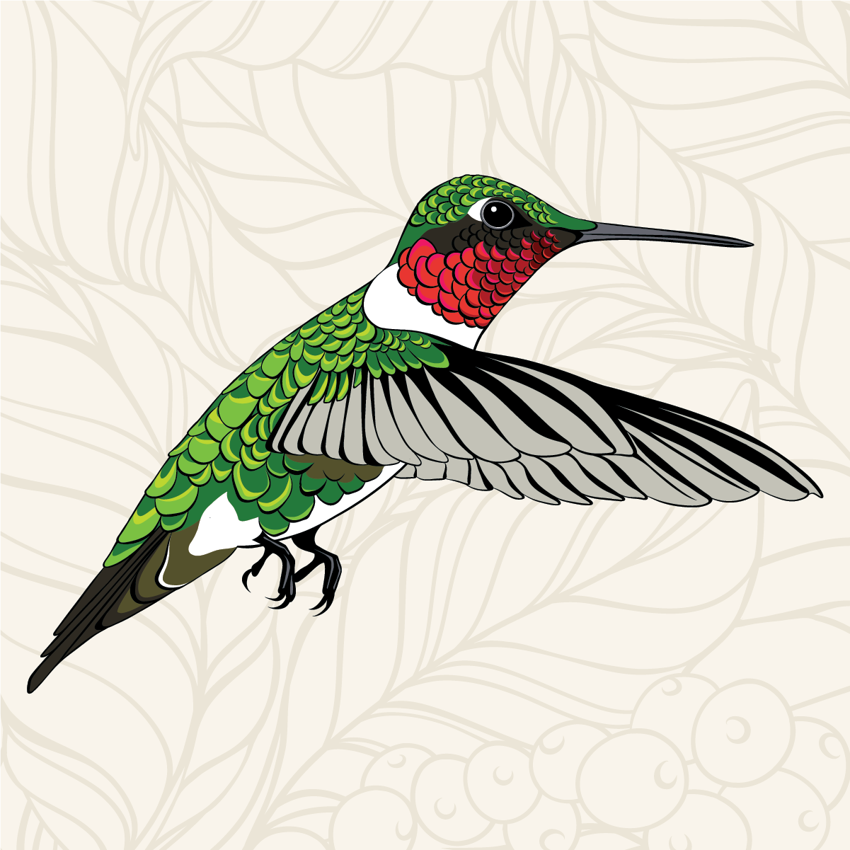 Bird Friendly Mexico