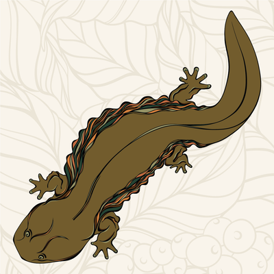 Bird Friendly Hellbender