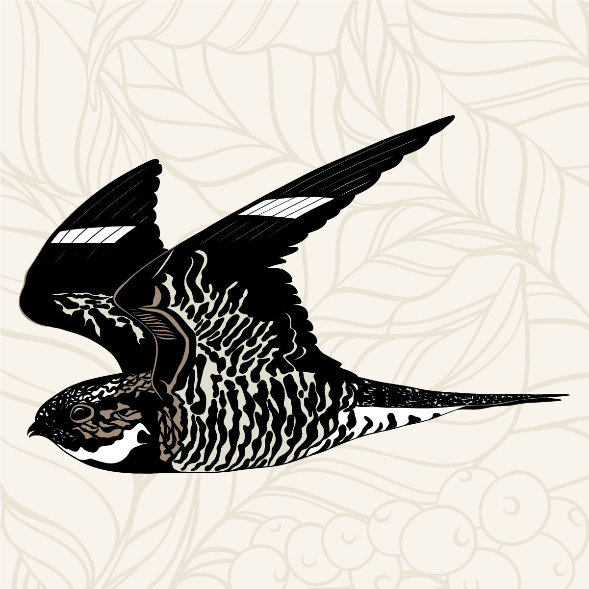 Nighthawk Decaf