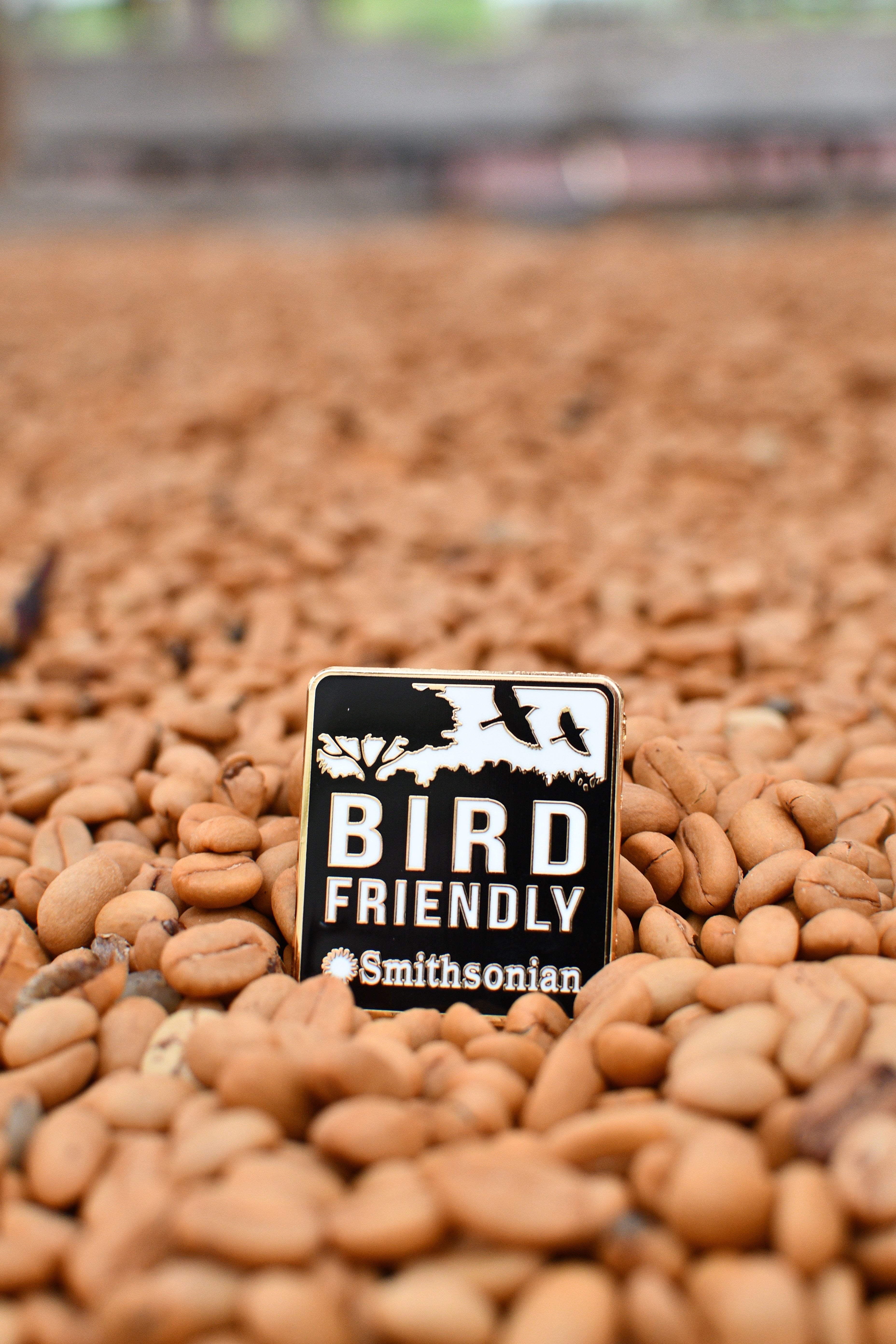 A Bird Friendly pin sitting in some coffee beans