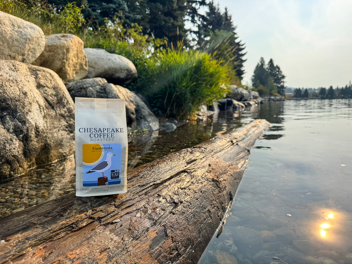 A bag of coffee with Herring Gull illustration sitting on a downed wood piling along the shore of a river. 